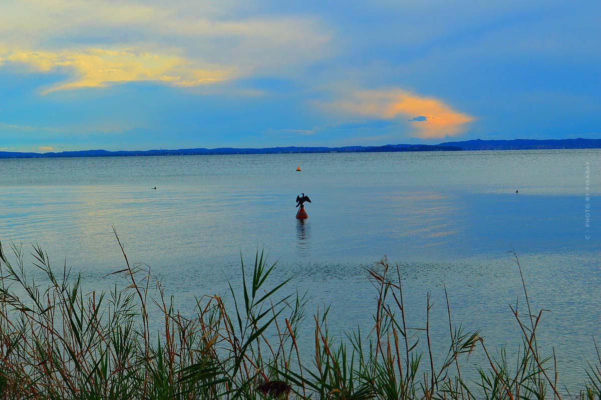 The clouds glow orange above the reed-covered shore.